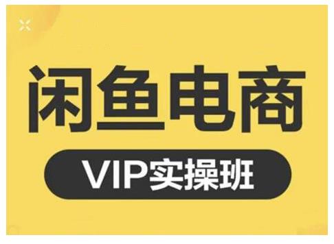 鱼客·闲鱼电商零基础入门到进阶VIP实战课程，帮助你掌握闲鱼电商所需的各项技能-唐人网创